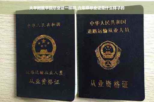 大学附属学院毕业证一样吗,六年级毕业证是什么样子的