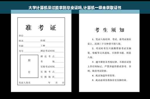 大学计算机没过能拿到毕业证吗,计算机一级未获取证书