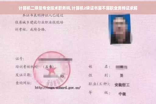 计算机二级是专业技术职务吗,计算机2级证书算不算职业资格证求解