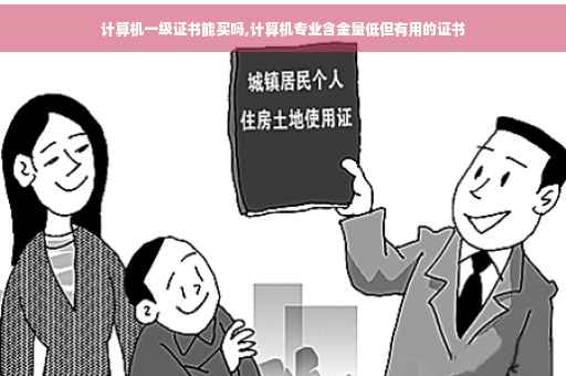 计算机一级证书能买吗,计算机专业含金量低但有用的证书