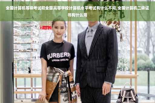 全国计算机等级考试和全国高等学校计算机水平考试有什么不同,全国计算机二级证书有什么用