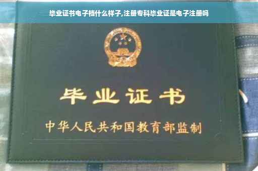 毕业证书电子档什么样子,注册专科毕业证是电子注册吗
