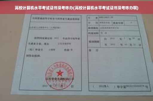 高校计算机水平考试证书没考咋办(高校计算机水平考试证书没考咋办啊)