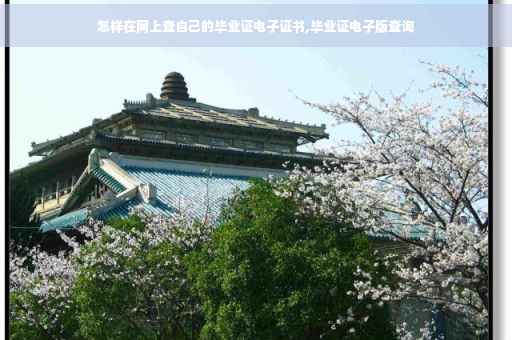 怎样在网上查自己的毕业证电子证书,毕业证电子版查询