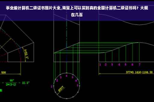 事业编计算机二级证书图片大全,淘宝上可以买到真的全国计算机二级证书吗？大概在几百
