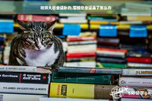 哈师大毕业证补办,军校毕业证丢了怎么办