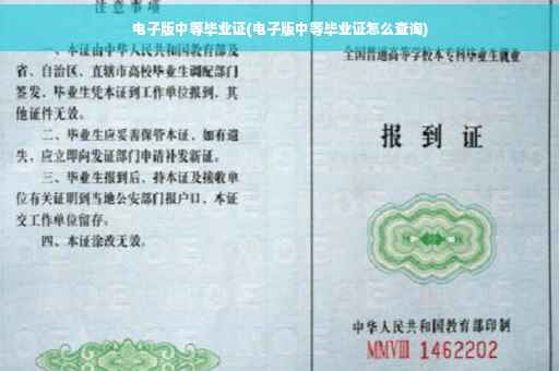 电子版中等毕业证(电子版中等毕业证怎么查询)