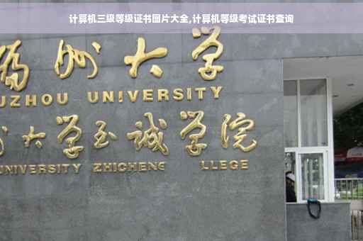 计算机三级等级证书图片大全,计算机等级考试证书查询