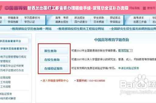 新西兰出国打工都需要办理哪些手续-蓝翔毕业证补办流程
