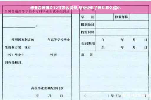 毕业合照照片12寸怎么调整,毕业证电子照片怎么缩小