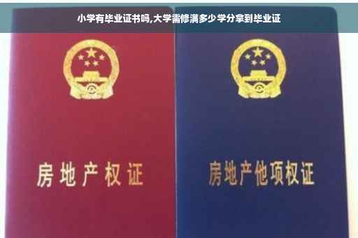 小学有毕业证书吗,大学需修满多少学分拿到毕业证