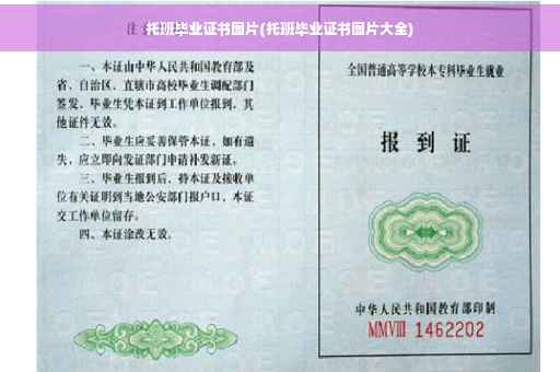 托班毕业证书图片(托班毕业证书图片大全)