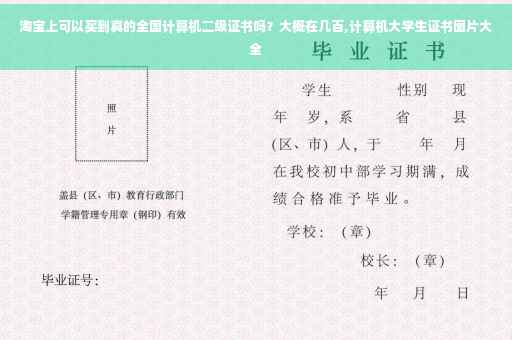 淘宝上可以买到真的全国计算机二级证书吗？大概在几百,计算机大学生证书图片大全