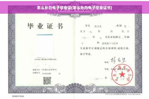 怎么补办电子毕业证(怎么补办电子毕业证书)