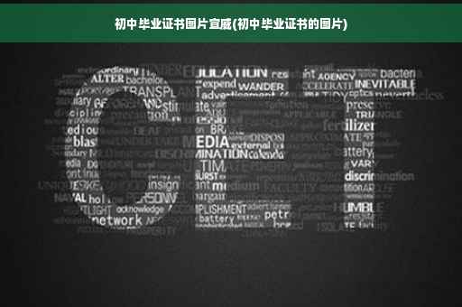 初中毕业证书图片宣威(初中毕业证书的图片)