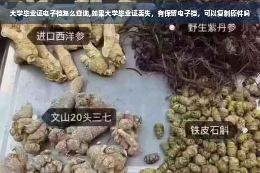 大学毕业证电子档怎么查询,如果大学毕业证丢失，有保留电子档，可以复制原件吗