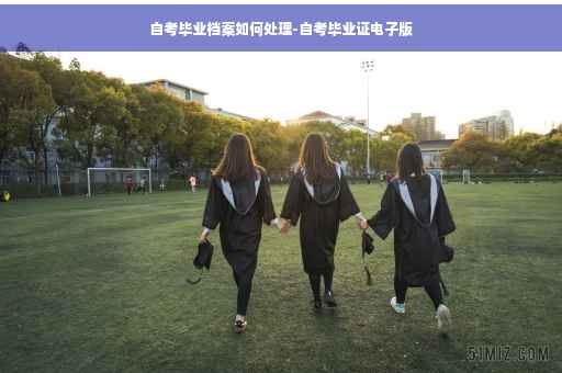 自考毕业档案如何处理-自考毕业证电子版