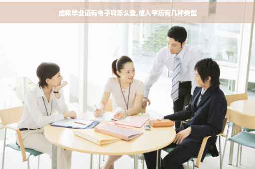 成教毕业证有电子吗怎么查,成人学历有几种类型