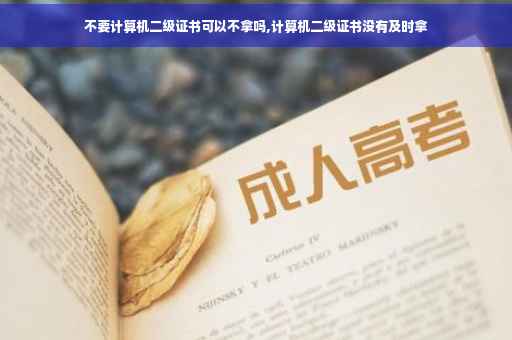 不要计算机二级证书可以不拿吗,计算机二级证书没有及时拿