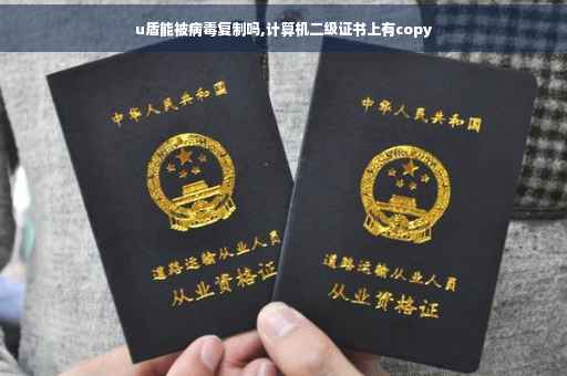 u盾能被病毒复制吗,计算机二级证书上有copy