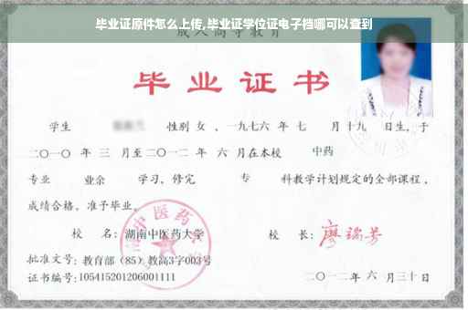 毕业证原件怎么上传,毕业证学位证电子档哪可以查到