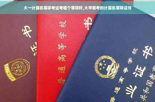 大一计算机等级考试考哪个等级好,大学要考的计算机等级证书