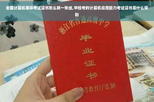 全国计算机等级考试证书怎么就一张纸,学校考的计算机应用能力考试证书是什么级别