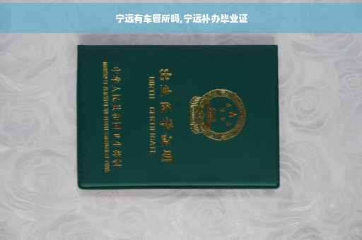 宁远有车管所吗,宁远补办毕业证