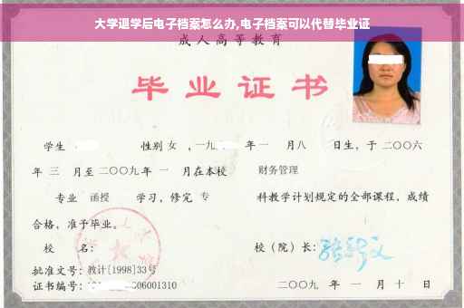 大学退学后电子档案怎么办,电子档案可以代替毕业证