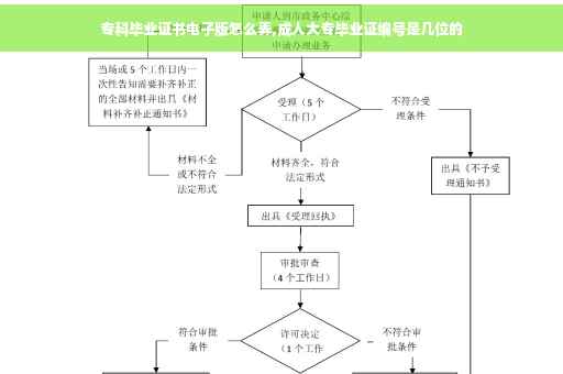 专科毕业证书电子版怎么弄,成人大专毕业证编号是几位的