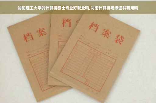 沈阳理工大学的计算机硕士专业好就业吗,沈阳计算机考级证书有用吗