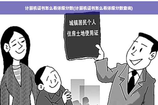 计算机证书怎么看详细分数(计算机证书怎么看详细分数查询)