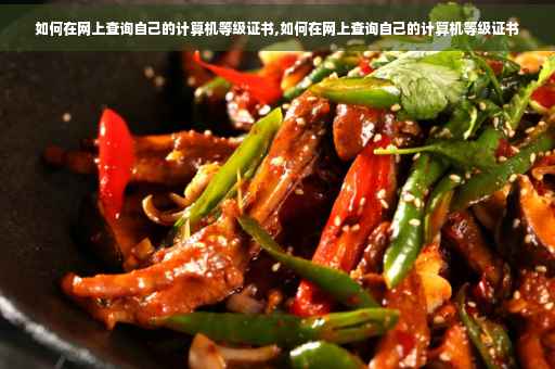 如何在网上查询自己的计算机等级证书,如何在网上查询自己的计算机等级证书