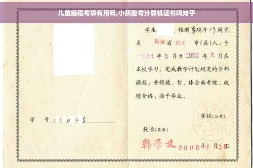 儿童编程考级有用吗,小孩能考计算机证书吗知乎 儿童编程考级有用吗,小孩能考计算机证书吗知乎