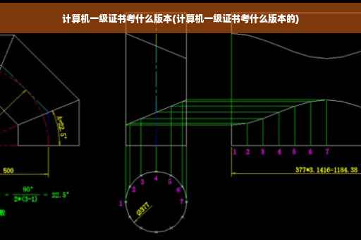 计算机一级证书考什么版本(计算机一级证书考什么版本的)