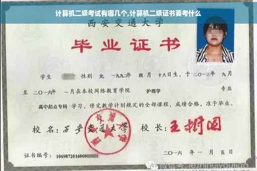 计算机二级考试有哪几个,计算机二级证书要考什么
