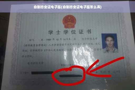 自制毕业证电子版(自制毕业证电子版怎么弄)