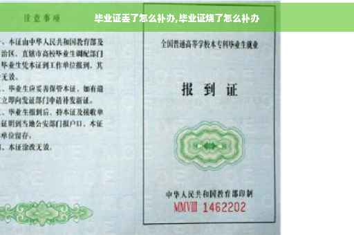 毕业证丢了怎么补办,毕业证烧了怎么补办
