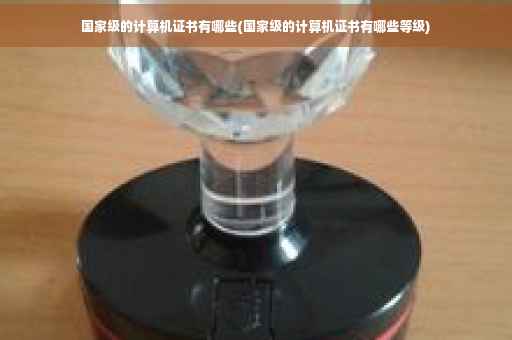国家级的计算机证书有哪些(国家级的计算机证书有哪些等级)