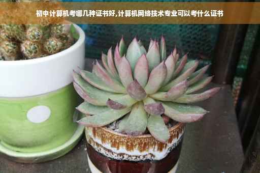 初中计算机考哪几种证书好,计算机网络技术专业可以考什么证书