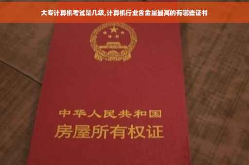 大专计算机考试是几级,计算机行业含金量最高的有哪些证书