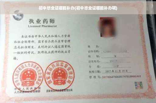 初中毕业证哪能补办(初中毕业证哪能补办呢)
