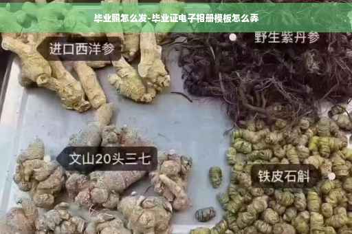 毕业照怎么发-毕业证电子相册模板怎么弄