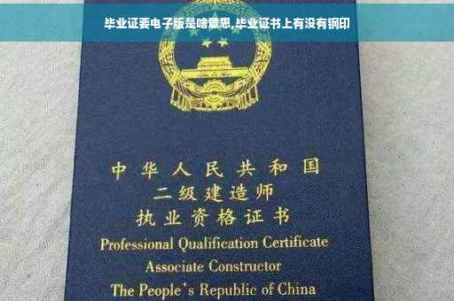 毕业证要电子版是啥意思,毕业证书上有没有钢印