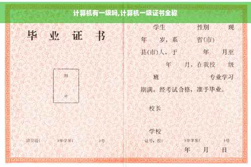 计算机有一级吗,计算机一级证书全称