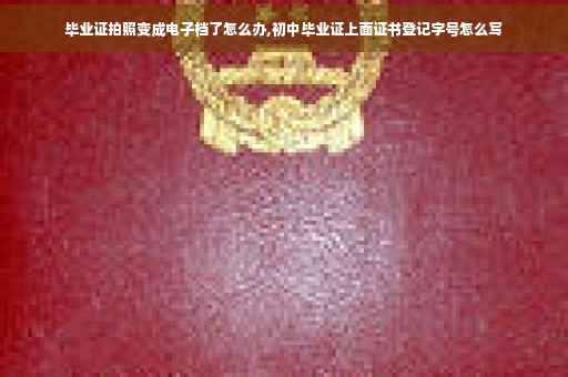 毕业证拍照变成电子档了怎么办,初中毕业证上面证书登记字号怎么写