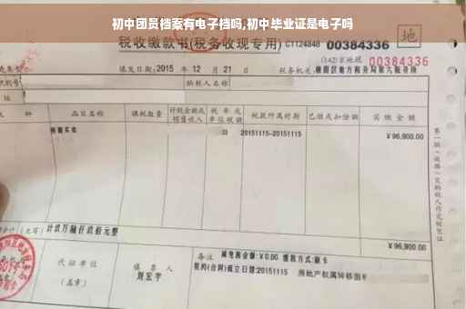 初中团员档案有电子档吗,初中毕业证是电子吗