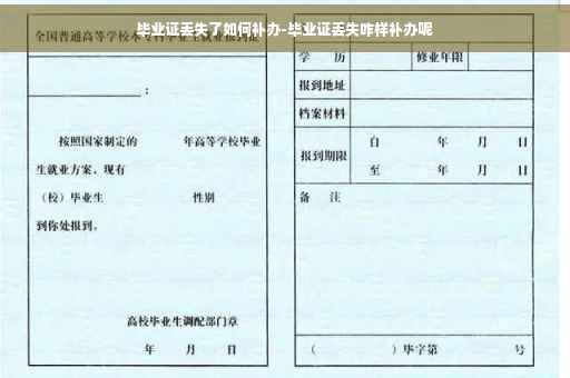 毕业证丢失了如何补办-毕业证丢失咋样补办呢