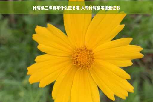 计算机二级要考什么证书呢,大专计算机考哪些证书