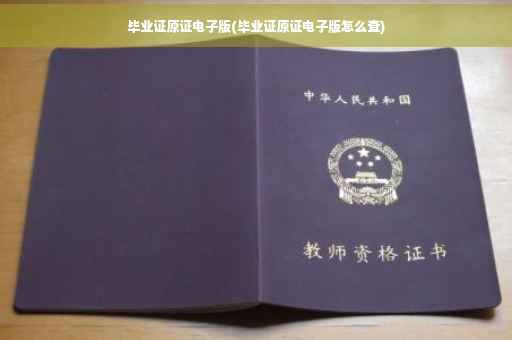 毕业证原证电子版(毕业证原证电子版怎么查)